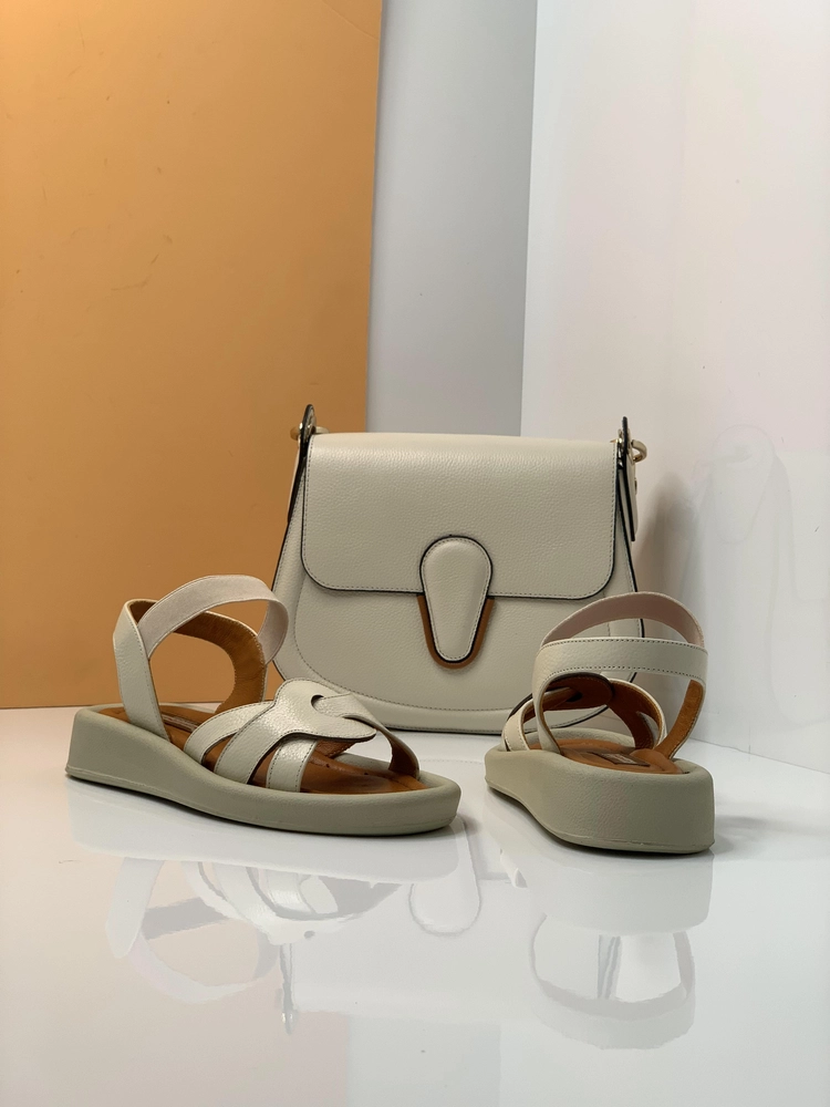2304وای کاسا